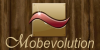 MOBEVOLUTION - mobila Cluj - mobila la comanda Cluj - mese si scaune Cluj