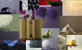 Set canapele living