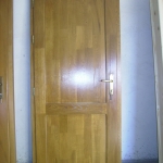 Usi lemn stratificat cu sticla termopan in doua canate