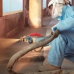 Transfer de fluide cu pompe piston