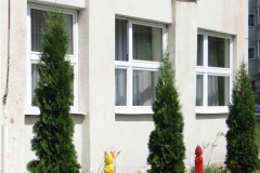 Usa din lemn stratificat plina