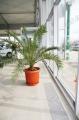 Producator usi metalice Cluj
