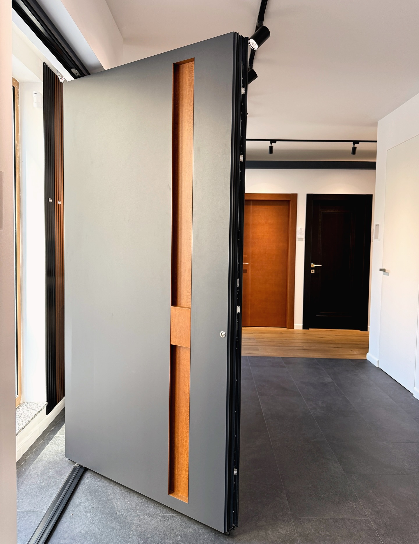 Uşi de intrate metal