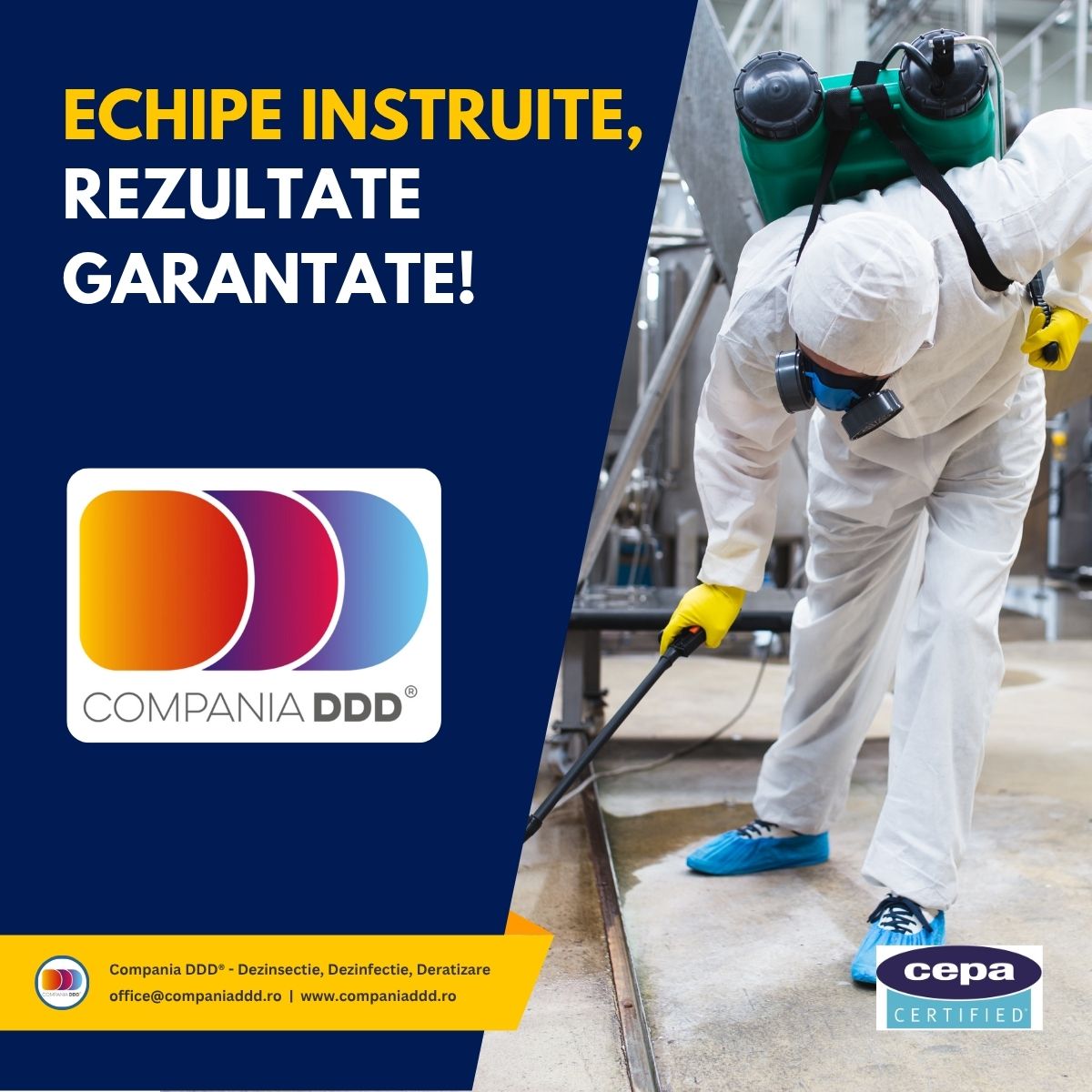 Deratizare, dezinfecţie, dezinsecţie 