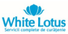 WHITE LOTUS - servicii curatenie in Cluj Napoca