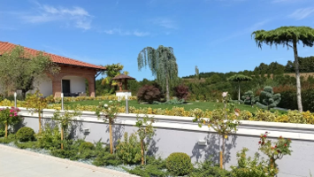 Grădină după amenajare peisagistică