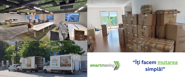 Mutări case şi firme